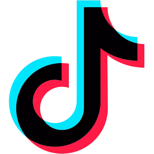 TikTok Ads — in progress TikTok Ads